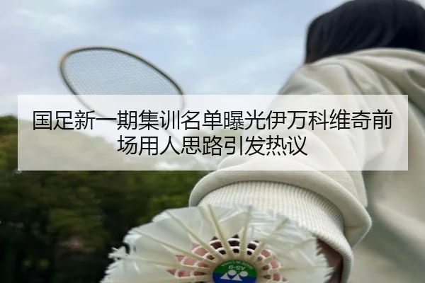 国足新一期集训名单曝光伊万科维奇前场用人思路引发热议